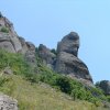 Конный клуб «Аллюр»