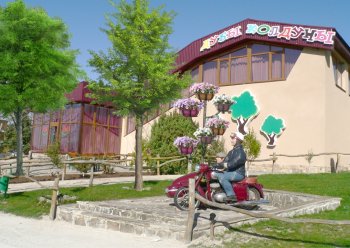 Спортивно-оздоровительный комплекс «Черные камни»