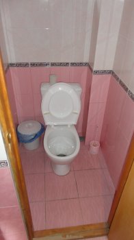 Частная усадьба «Ковчег»